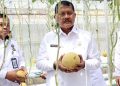 Dirjenpas, Brigjen Pol. Drs. Mashudi mengikuti panen raya buah melon jenis Inthanon di Lembaga Pemasyarakatan (Lapas) Kelas I Sukamiskin, Bandung, Jawa Barat