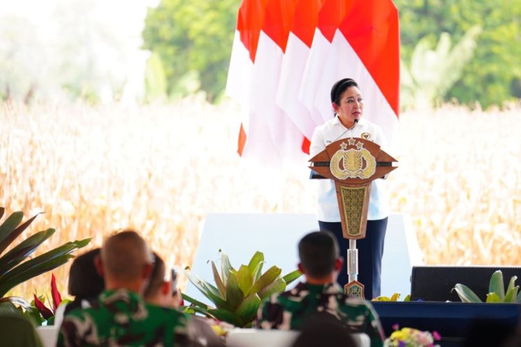 Ketua Komisi IV DPR RI, Titiek Soeharto dalam Acara Panen Raya Jagung Serentak Kuartal III di Kabupaten Ogan Komering Ulu (OKU) Timur, Sumatera Selatan, Sabtu (27/9/2025)