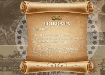 TRIBRATA 01