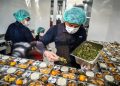 Program Makan Bergizi Gratis (MBG) tak hanya memenuhi kebutuhan gizi masyarakat, tetapi juga mendorong tumbuhnya industri baru di Indonesia.(foto:Istimewa)