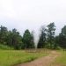 Kawah Kereta Api ikon unik di kawasan Wisata Alam dan Cagar Alam Kawah Kamojang di Dusun Kamojang, Desa Laksana, Kecamatan Ibun, Kabupaten Bandung (dok Berita Geothermal)
